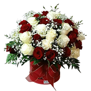 /fileuploads/Produtos/Rosas/thumb_florista_jusart_flores_plantas_rosas_jardim_ROSAS 25 (135).png
